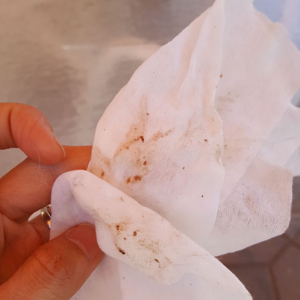 Right after grooming, it comes out from my dog's ear. Terrible!!!!