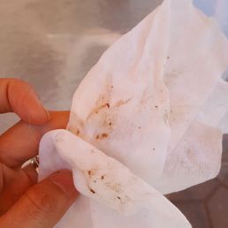 Right after grooming, it comes out from my dog's ear. Terrible!!!! Right after grooming, it comes out from my dog's ear. Terrible!!!!