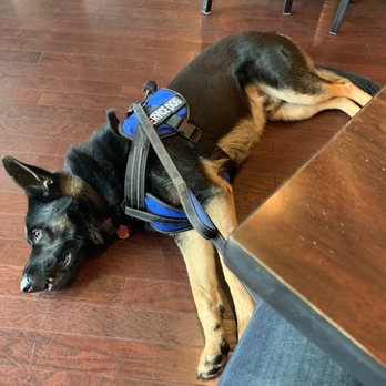 Lib's Grill - The best dog in town - Seafood Near Me - Perry Hall, Maryland Lib's Grill - The best dog in town - Seafood Near Me - Perry Hall, Maryland