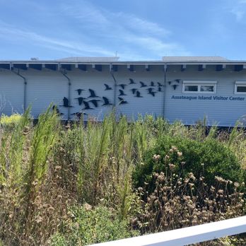 Assateague Island Visitor Center - Visitor center also has a viewing area overlooking the bay. - Visitor Centers Near Me - Berlin, Maryland Assateague Island Visitor Center - Visitor center also has a viewing area overlooking the bay. - Visitor Centers Near Me - Berlin, Maryland
