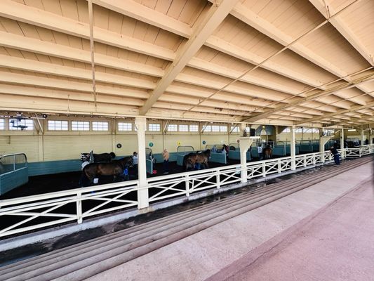 Santa Anita Park by null