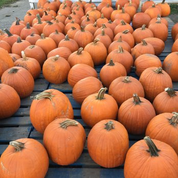 Terhune Orchards - fall 2017 - Fruits & Veggies Near Me - Princeton, New Jersey Terhune Orchards - fall 2017 - Fruits & Veggies Near Me - Princeton, New Jersey