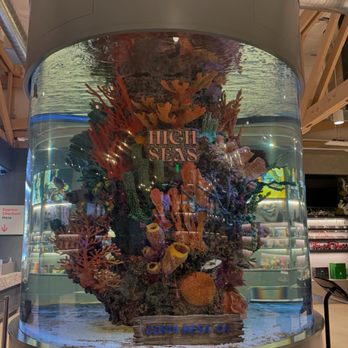 High Seas - The bigger fish tank - Cannabis Dispensaries Near Me - Costa Mesa, California High Seas - The bigger fish tank - Cannabis Dispensaries Near Me - Costa Mesa, California