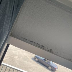 Econo Lodge - Mold on top window seal