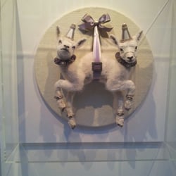 Jaski Gallery
