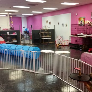 Dawn's Pet Palace - HUGE new space makes this like a little doggie play ground. - Pet Groomers Near Me - Carmichael, California