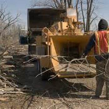 Benitez Tree Service - We take care of the mess too, we use a high power chipper to cut up and remove all tree debris. - Tree Services Near Me Benitez Tree Service - We take care of the mess too, we use a high power chipper to cut up and remove all tree debris. - Tree Services Near Me