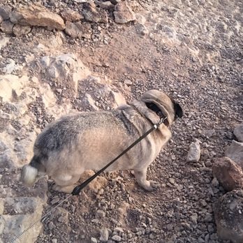 Exploration Peak Park - Parks Near Me - Las Vegas, Nevada