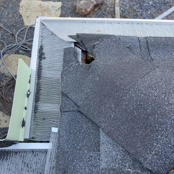 The Critter Crew - Entry point on a roof corner. - Wildlife Control Near Me - Dallas, Texas The Critter Crew - Entry point on a roof corner. - Wildlife Control Near Me - Dallas, Texas