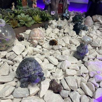 Intuitive Eye Crystals - Stone turtle garden - Reiki Near Me - Hesperia, California Intuitive Eye Crystals - Stone turtle garden - Reiki Near Me - Hesperia, California
