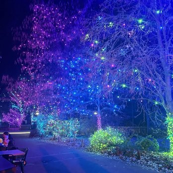 Denver Zoo Lights - Festivals Near Me - Denver, Colorado