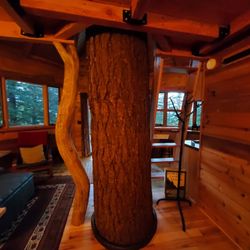 Osprey Treehouse - Inside treehouse