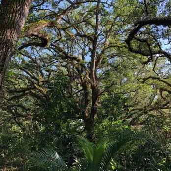 Tree Tops Park - Parks Near Me - Davie, Florida Tree Tops Park - Parks Near Me - Davie, Florida