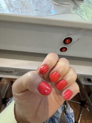 Picasso Nail by null