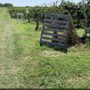 Photo of Cordes Berry Farm