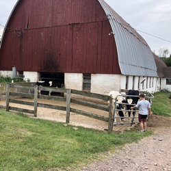 Diehl Homestead Farm