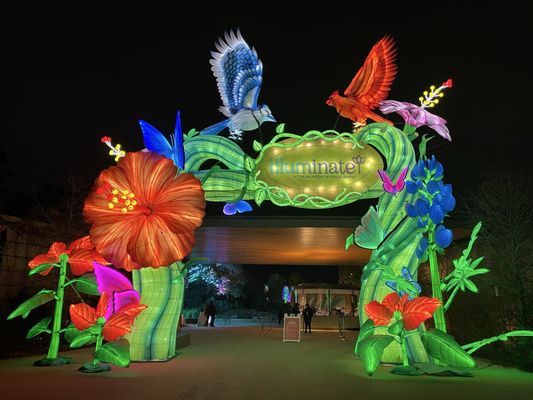 San Antonio Botanical Garden by null