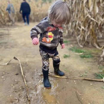 Fender's Farm - Corn maze - Haunted Houses Near Me - Jonesborough, Tennessee Fender's Farm - Corn maze - Haunted Houses Near Me - Jonesborough, Tennessee