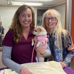 Stand Up For Animals Wellness Clinic