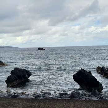 Sandy Cheeks Tours - Tours Near Me