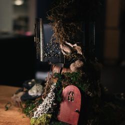 Merchant Roots