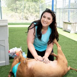 Professional Pets Florida