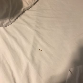 Knights Inn Ottawa - The blood stains - Hotels Near Me - Ottawa, Kansas Knights Inn Ottawa - The blood stains - Hotels Near Me - Ottawa, Kansas