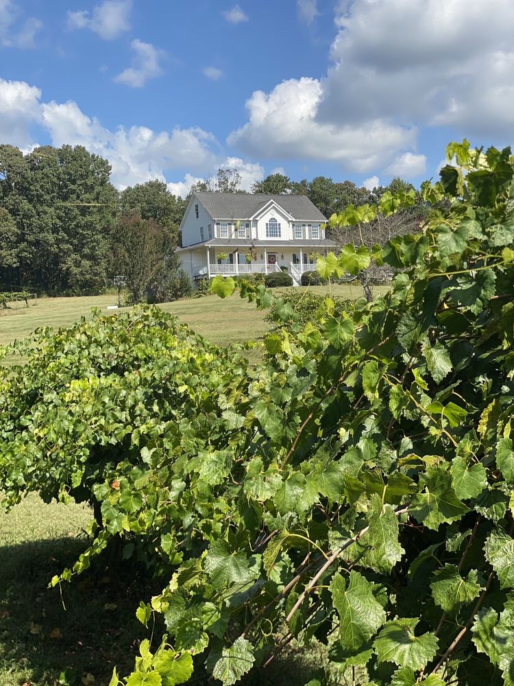 Sugar Hill Berry Farm - beekeeping in Murrayville, GA