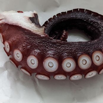 Tokyo Fish Market - Tako - Octopus - Seafood Markets Near Me - Berkeley, California