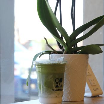 Oasis Matcha - Tea Rooms Near Me - Las Vegas, Nevada Oasis Matcha - Tea Rooms Near Me - Las Vegas, Nevada