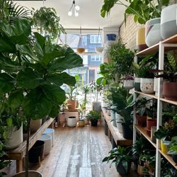 Urban Gardener