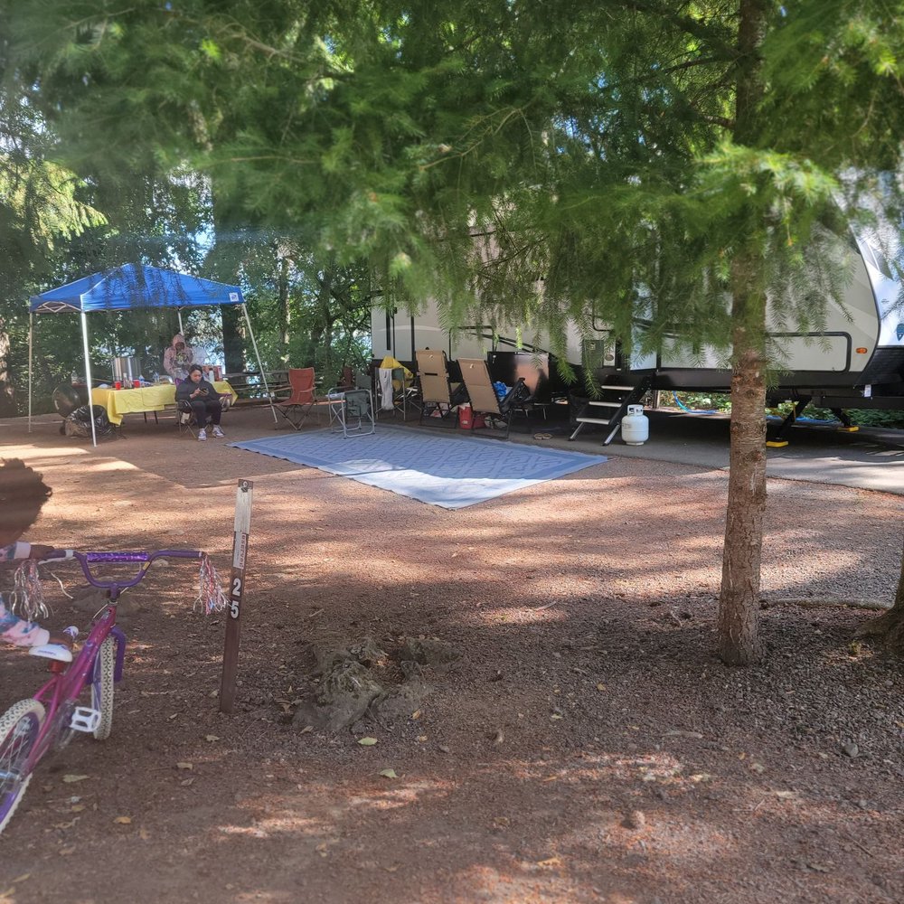 Mayfield Lake Park - View of the campsite - Parks Near Me - Mossyrock, Washington