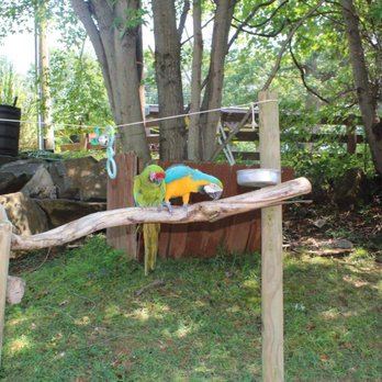 Nova Wild - Petting Zoos Near Me - Vienna, Virginia