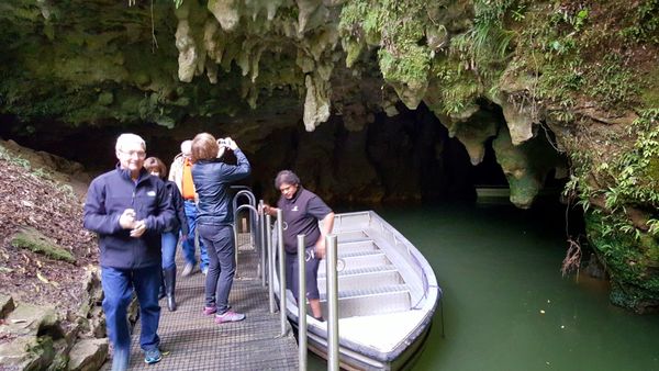 Waitomo Glowworm Caves by null