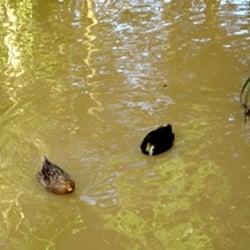 Parque Zoobotânico de Brusque