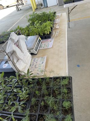 Piedmont Triad Farmers Market by null