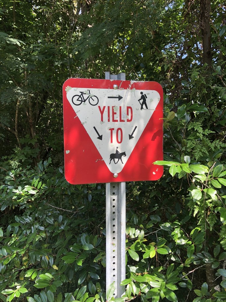 TOWN OF ABITA SPRINGS Updated September 2024 19 Photos Abita