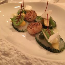 Latour - Gepekelde zeeduivel met gebrande rode gamba's met matcha.