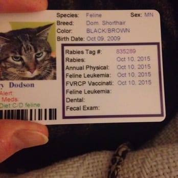 Pet Vet Battlewood - Cat identification card with all of his info and picture! - Veterinarians Near Me - Franklin, Tennessee