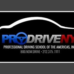 Professional Driving School of the Americas