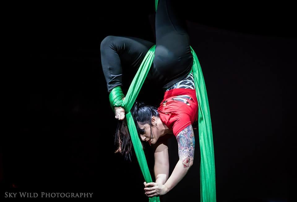 Dragon Power Fitness Logo