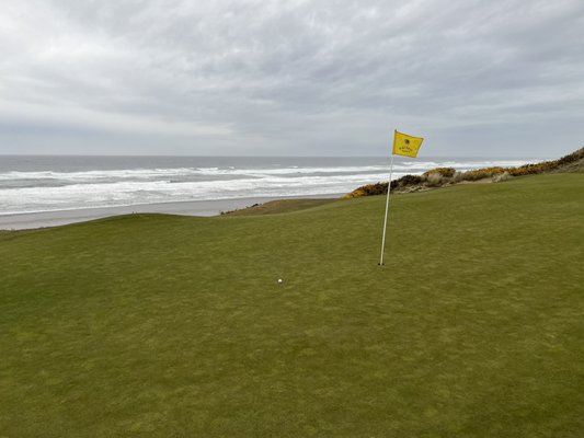 Bandon Dunes Golf Resort - Pacific Dunes by null