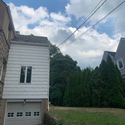 Tigre Tree Care and Landscaping - After