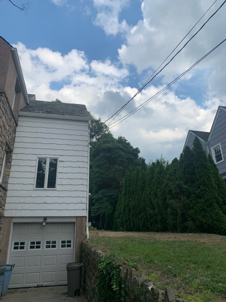 TIGRE TREE CARE AND LANDSCAPING Updated September 2024 15 Photos