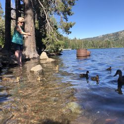 Philbrook Lake Campground - The feathery friends love visiting the waterside campground.