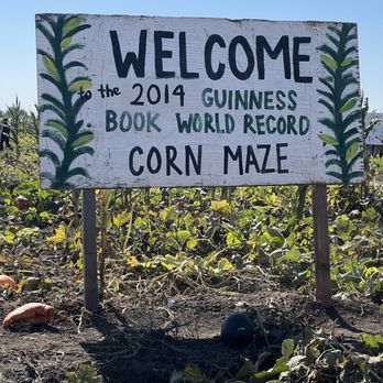 Cool Patch Pumpkins - Corn maze sign - Pumpkin Patches Near Me - Dixon, California