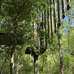 Orlando Tree Trek