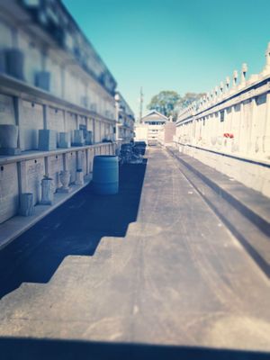 St Vincent De Paul Cemetery by null