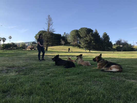katana k9 academy