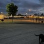 Photo of Little Vineyard RV Resort